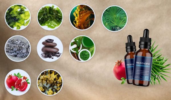 Prostadine_Ingredients2